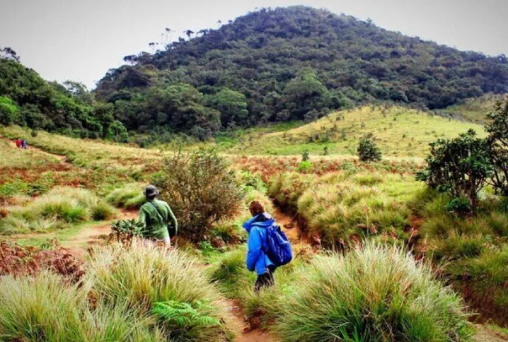 Hike in Horton Plains National Park