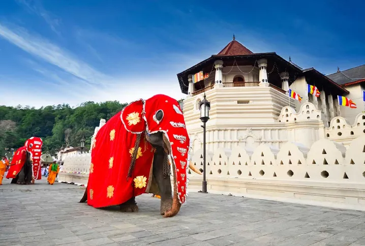 Visit the Temple of the Tooth in Kandy